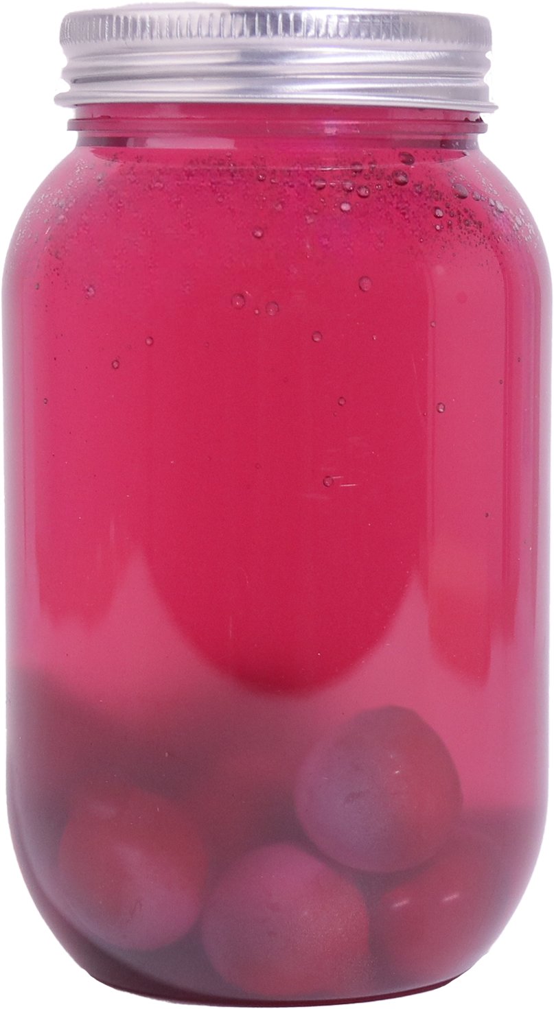 Xicha Bottle 53-350ml
