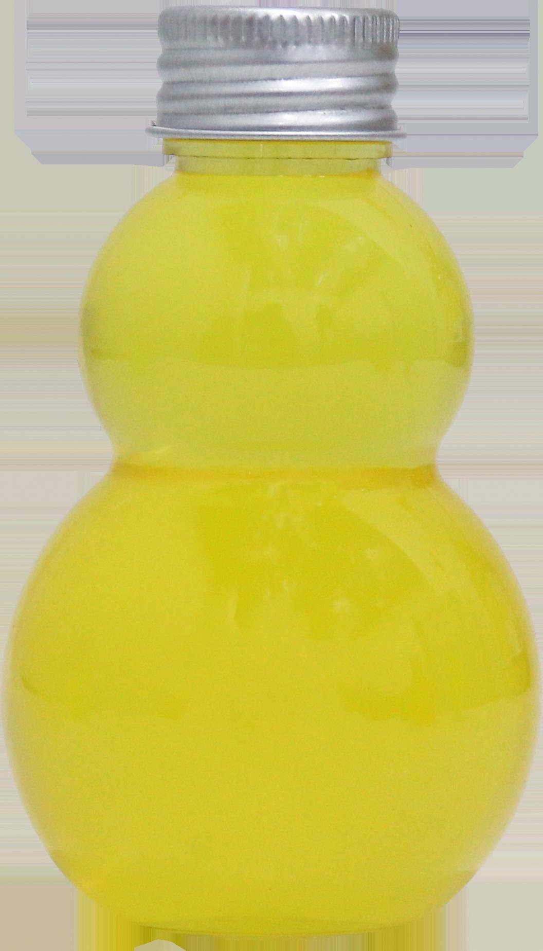 Model 24 24-100ml